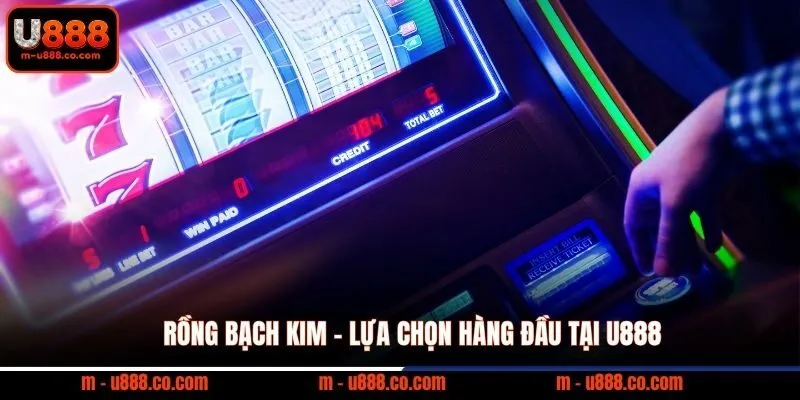 Rồng Bạch Kim – Lựa Chọn Hàng Đầu Tại U888