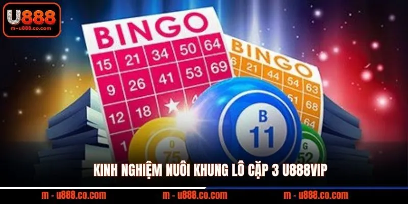 Kinh nghiệm nuôi khung lô cặp 3 U888VIP
