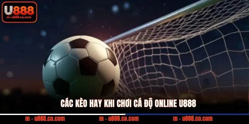 Các kèo hay khi chơi cá độ online U888